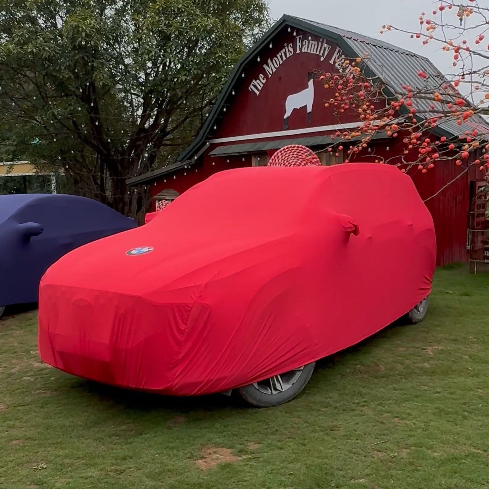 Auto Cover Custom360 Car Cover - Full Protection & Personalized Style – Nez Auto