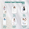 Ergonomic 100% Natural Cotton Latex Mattresses High - Quality Slow Rebound Mattress